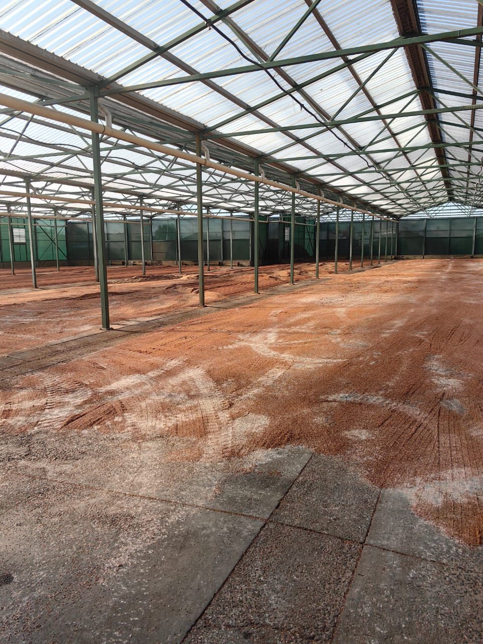 Steel structure build